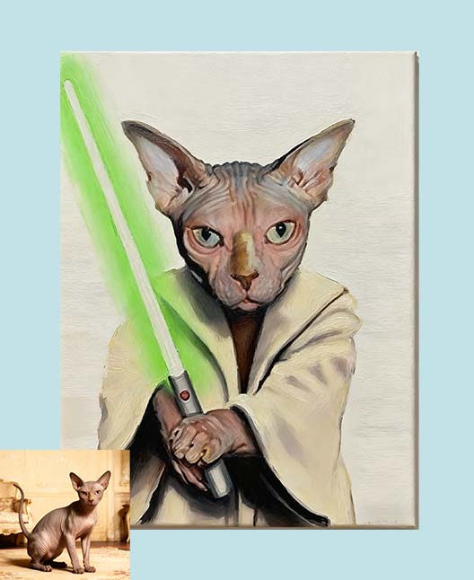 Cat Jedi